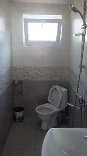 Боржоми: Tolo,s guest house