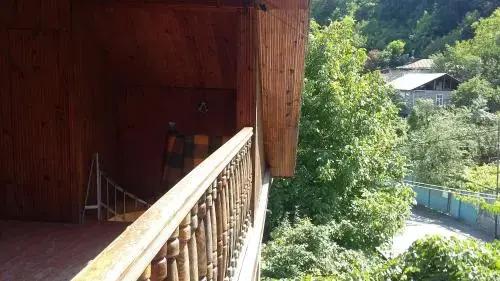 Боржоми: Tolo,s guest house