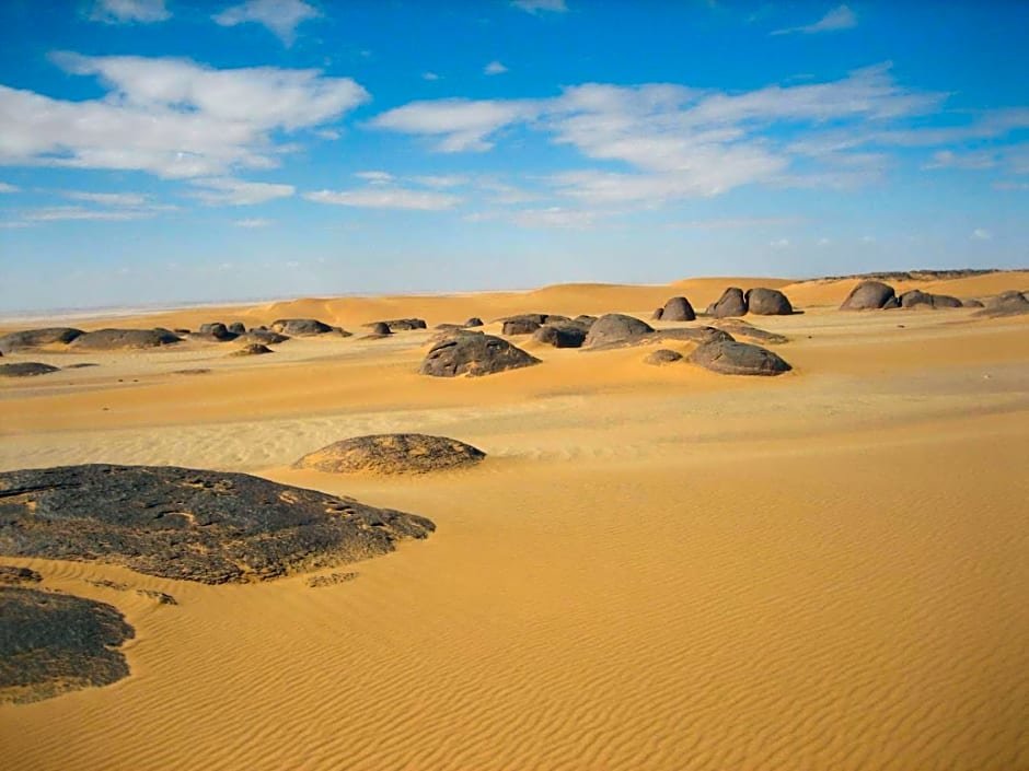 Аль-Бавити: Western Desert Hotel & Safari