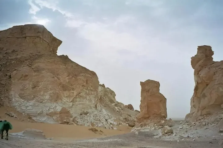 Аль-Бавити: Western Desert Hotel & Safari