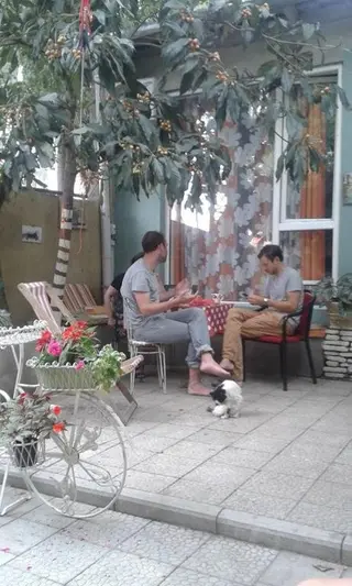 Тбилиси: Guest House Nona