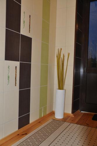 Жодино: Guesthouse Na Borovoy