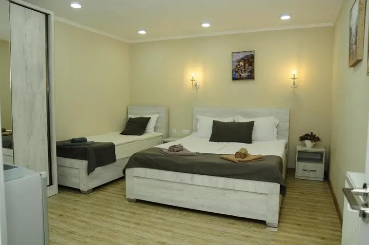 Боржоми: Eriks Guest House