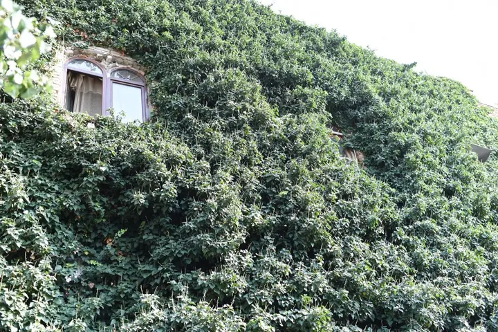 Тбилиси: Апарт-Отель in Old Tbilisi