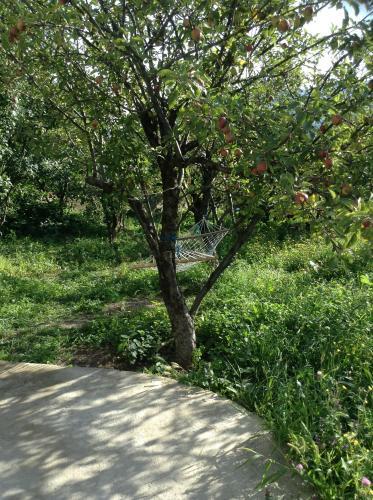 Одзун: Em&Ri Guest House in Odzun