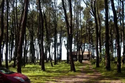 Шекветили: Shekvetili Beach House