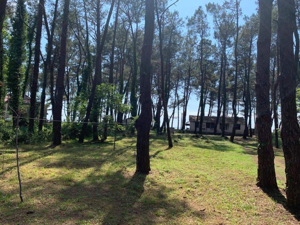 Шекветили: Shekvetili Beach House
