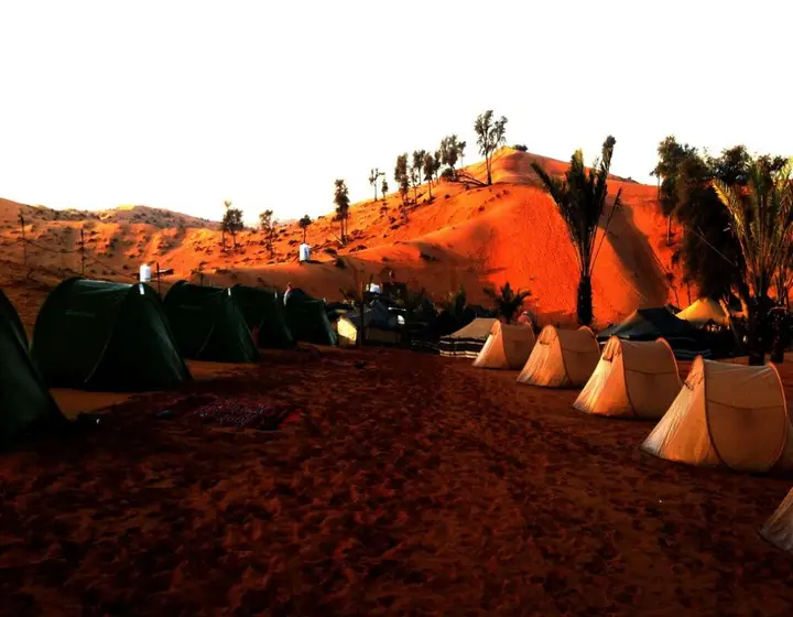 Bedouin Oasis Camp — фото 2