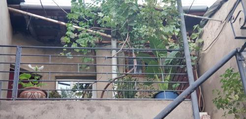 Тбилиси: 2 Santeli Turn Guest House