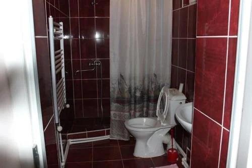 Бакуриани: Mzia's House