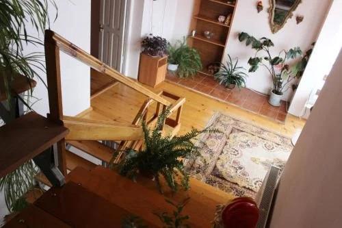 Бакуриани: Mzia's House
