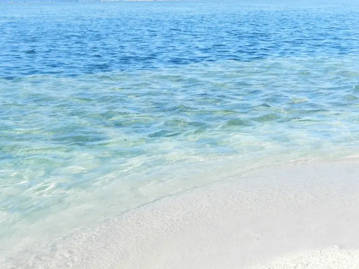 Атолл Алиф-Дхаалу: Maldives Guests House Whale Shark Inn