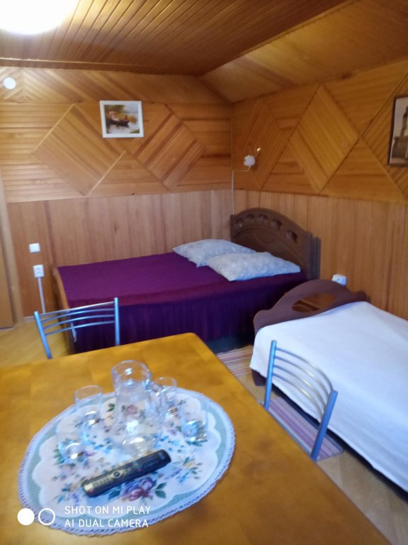 Несвиж: Agrousadba u Leonida