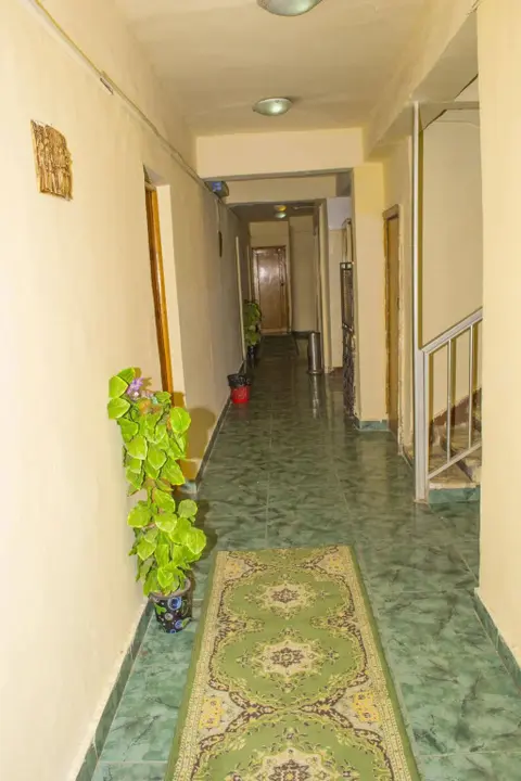 Александрия: Semiramis hotel