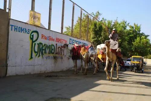 Гиза: Pyramids Loft Homestay