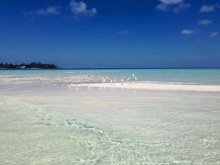 Атолл Алиф-Алиф: Гостевой Дом Holiday Grand Maldives