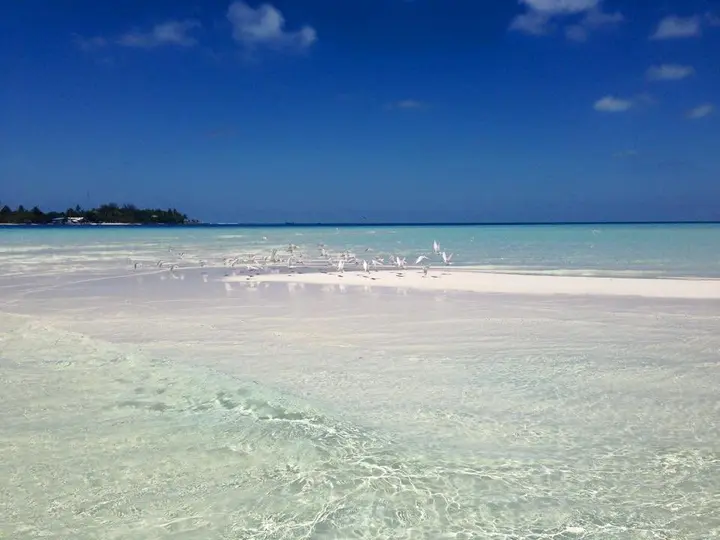 Атолл Алиф-Алиф: Гостевой Дом Holiday Grand Maldives