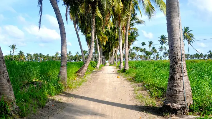 Атолл Алиф-Алиф: Гостевой Дом Holiday Grand Maldives