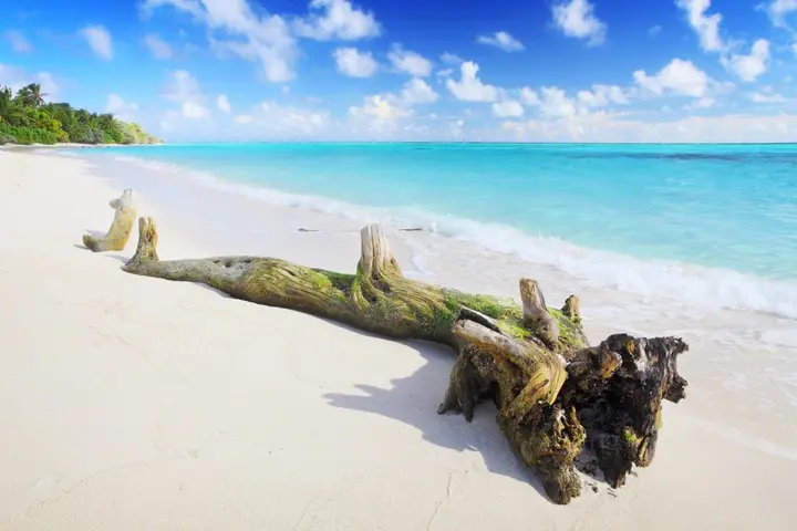 Атолл Алиф-Алиф: Гостевой Дом Holiday Grand Maldives