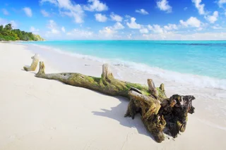 Атолл Алиф-Алиф: Гостевой Дом Holiday Grand Maldives