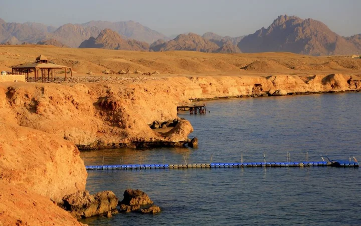 Шарм-эш-Шейх (Шарм-эль-Шейх): Sharm Club Beach Resort