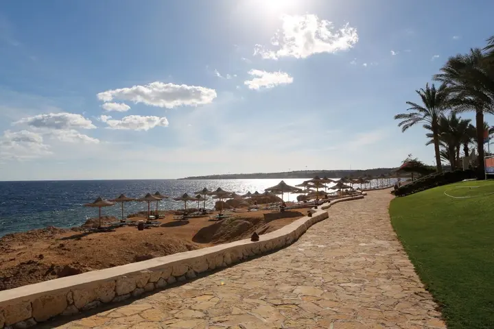 Шарм-эш-Шейх (Шарм-эль-Шейх): Sharm Club Beach Resort