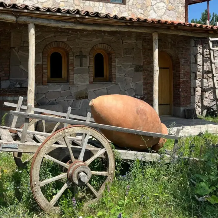 Вардзиа: Guest House Tirebi