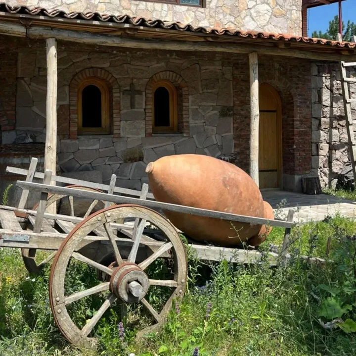 Вардзиа: Guest House Tirebi