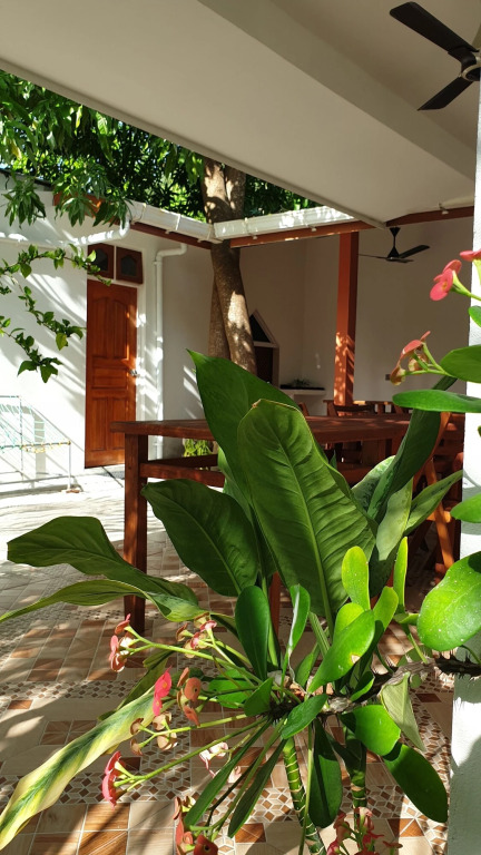 Атолл Алиф-Дхаалу: K Villas Maldives