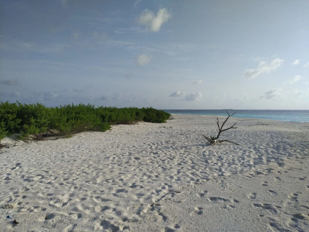 Атолл Алиф-Дхаалу: K Villas Maldives