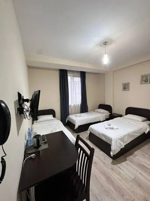 Тбилиси: Отель Georgia Tbilisi GT Hotel