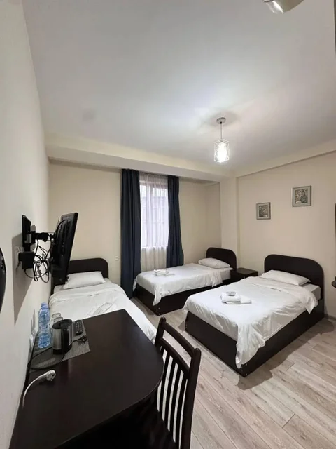 Тбилиси: Отель Georgia Tbilisi GT Hotel