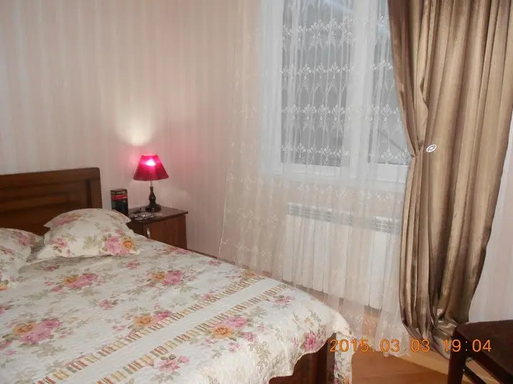 Borjomi Park Guest House — фото 4