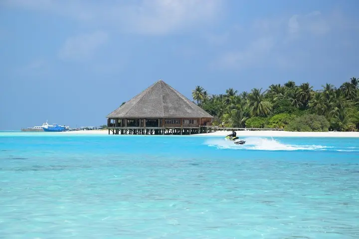 Диффуши: Bibee Maldives