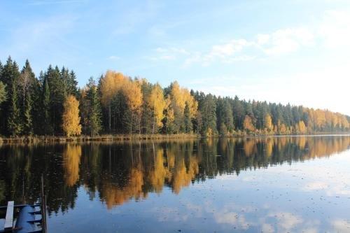 Витебск: База Отдыха Пикник Парк
