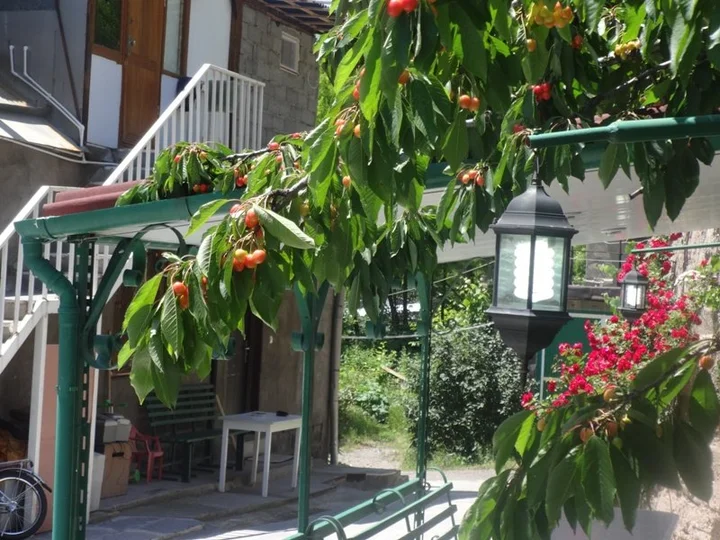 Алаверди: Гостевой дом B&B Ирис