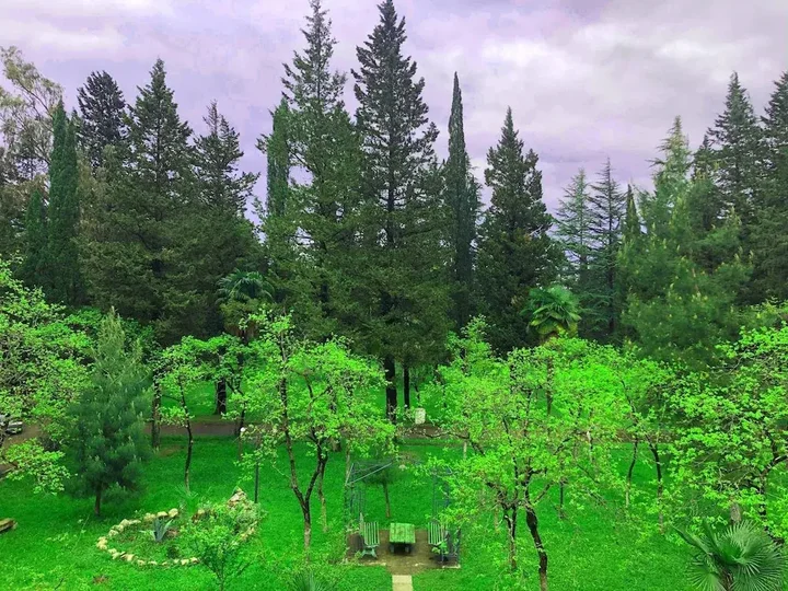 Кутаиси: Hostel Botanical Garden