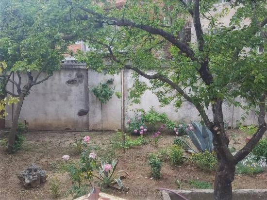 Кутаиси: Hostel Mana Kutaisi