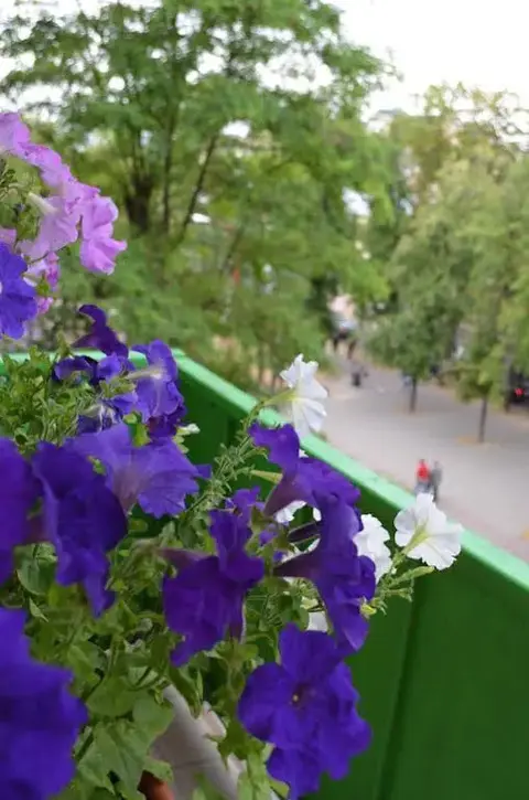 Брест: Sweet Home Apartment