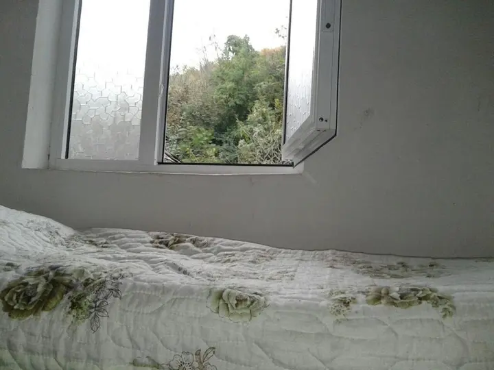 Шеки: Ilgars Guesthouse