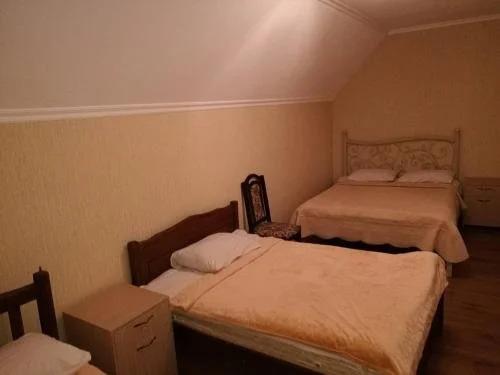 Боржоми: Guest House Borjomi Forest