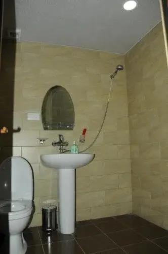 Боржоми: Guest House Borjomi Forest
