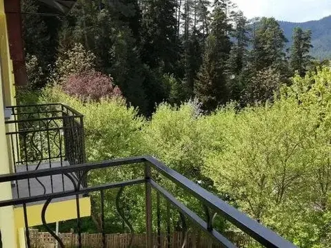 Боржоми: Guest House Borjomi Forest