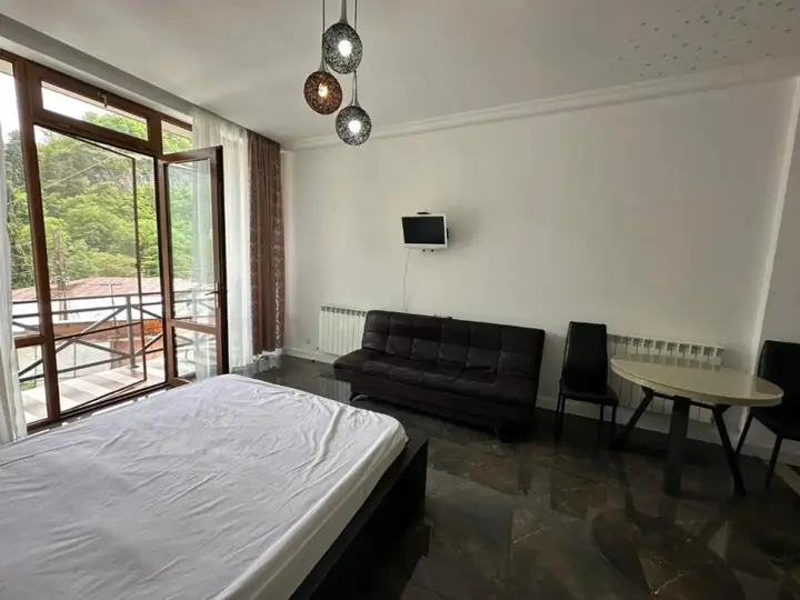Боржоми: Guest House Nana