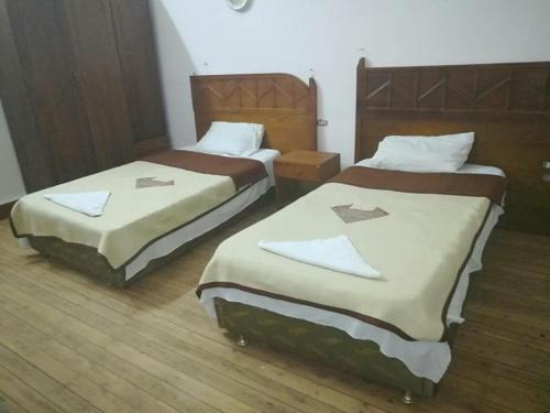 Каир: Louris Inn