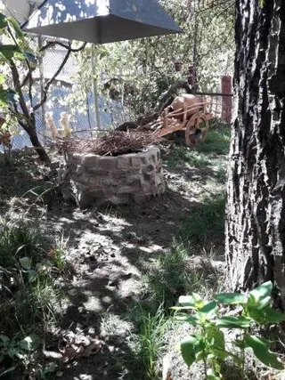 Боржоми: Rachvelas Guest House