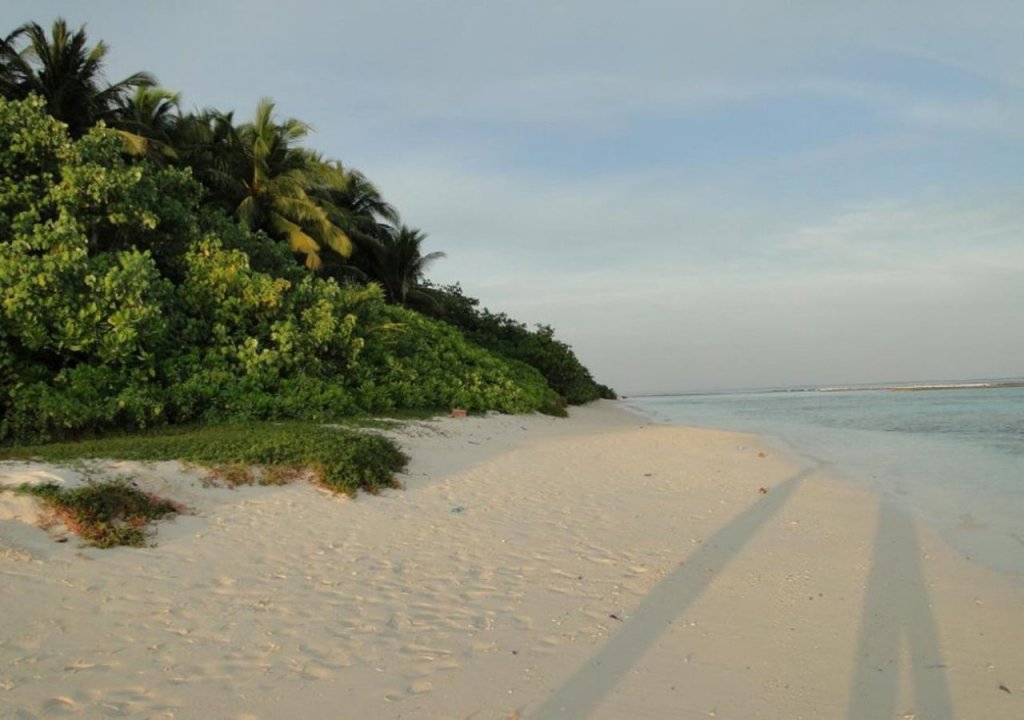 Rasdhoo Inn — фото 3