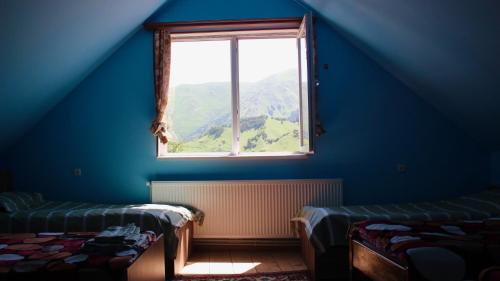 Гори: Green hostel