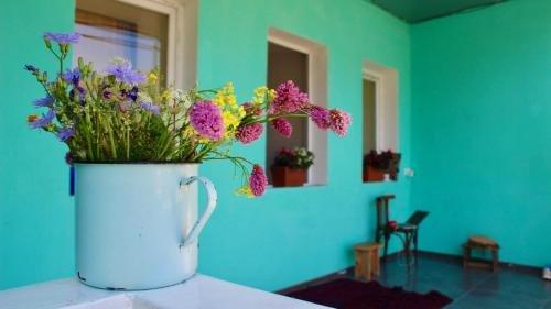Гори: Green hostel