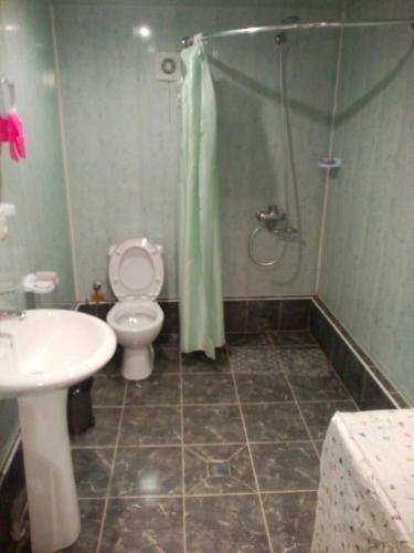 Местиа: Guest House Nanu